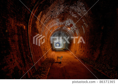 臼井峠隧道 86371365