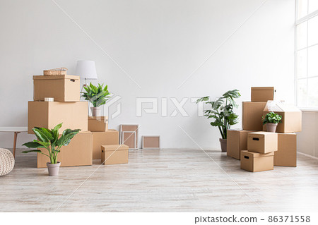 A lot of cardboard boxes with stuff and plants on floor in room with window without furniture in morning A lot of cardboard boxes with stuff and plants on floor in room with window without furniture in morning 86371558