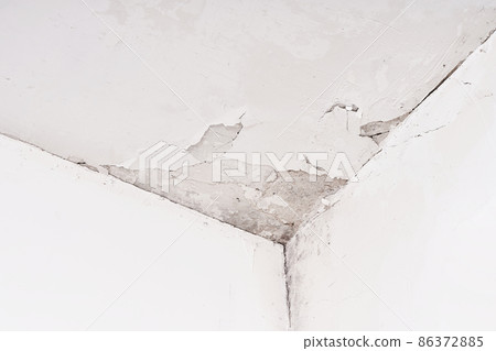 Fungus and mold on the wall in the damp corner of the house. Loose plaster, problems with poorly built housing and a humid climate Fungus and mold on the wall in the damp corner of the house. Loose plaster, problems with poorly built housing and a humid climate 86372885