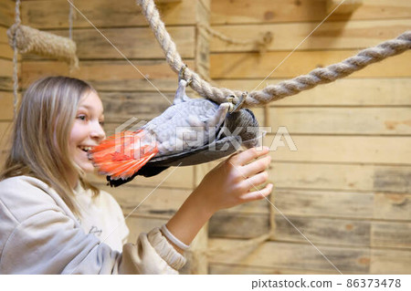 Girl feeding a parrot from a plastic cup Girl feeding a parrot from a plastic cup 86373478