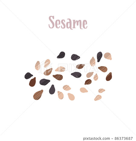 Healthy nutrition product. Different types of sesame seeds. 86373687