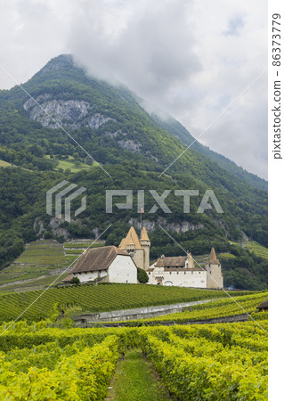 Castle Chateau d'Aigle in canton Vaud, Switzerland 86373779