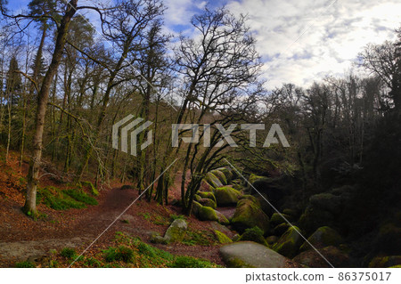 Virgin's household in the forest of Huelgoat 86375017