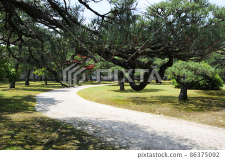 京都市中京區二條城二之丸庭園 86375092