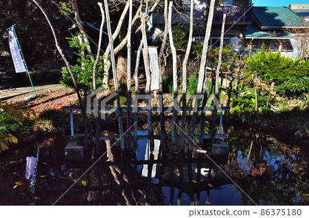 Blood Pond of Noma Daibo (Nomadaibo): Mihama Town, Chita District, Aichi Prefecture Blood Pond of Noma Daibo (Nomadaibo): Mihama Town, Chita District, Aichi Prefecture 86375180