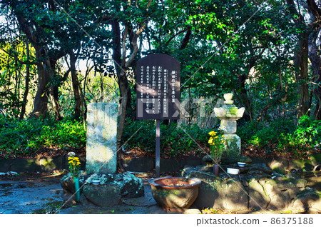 野間台坊（野間台坊）的鐮田雅也夫婦墓：愛知縣知多郡美濱町 86375188