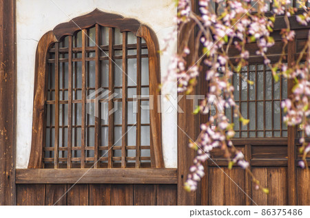 [Nishi-nippori, Tokyo] The firelight window and cherry blossoms of the Buddhist temple of Seiunzenji, which is the Hanamiji temple of the seven gods of good fortune in Tananaka. 86375486