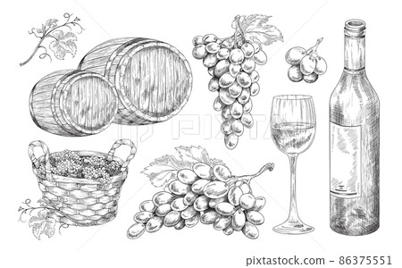 Hand drawn winery elements set, engraving style vector illustration isolated. 86375551