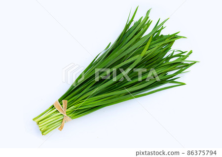 Fresh Chinese Chive leaves on white background. 86375794