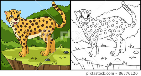 Cheetah Coloring Page Vector Illustration 86376120