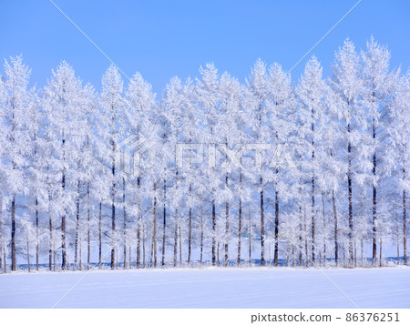Rime and blue sky Rime and blue sky 86376251