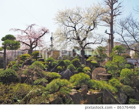 東京世田谷區妙法寺 86376466