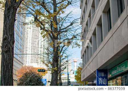 白山通 / 東京 白山通 / 東京 86377039