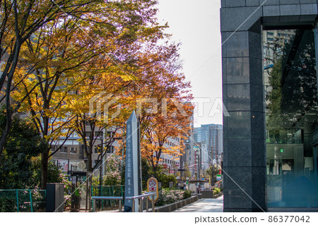 In front of Tokyo Dental College Hospital / Tokyo 86377042