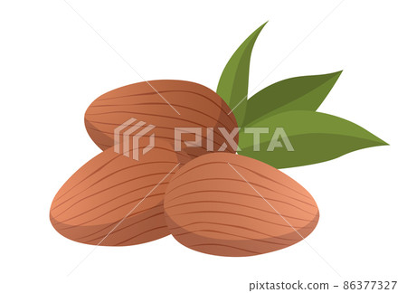 Realistic roasted almonds against white background - Vector Realistic roasted almonds against white background - Vector 86377327