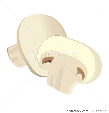 Realistic fresh ripe champignon isolated on white background - Vector Realistic fresh ripe champignon isolated on white background - Vector 86377404