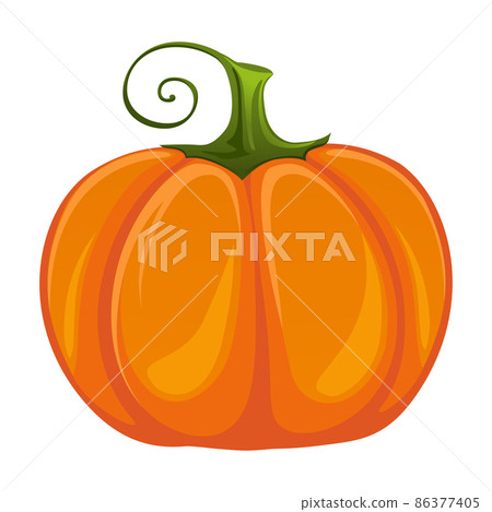 Realistic fresh ripe pumpkin isolated on white background - Vector Realistic fresh ripe pumpkin isolated on white background - Vector 86377405