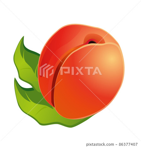 Realistic fresh ripe peach isolated on white background - Vector Realistic fresh ripe peach isolated on white background - Vector 86377407