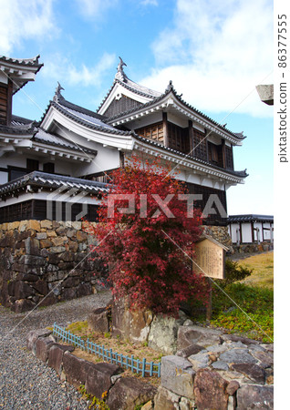 秋色的福知山城[京都府] 86377555