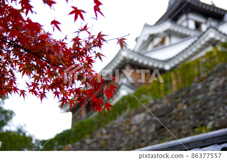 秋色的福知山城[京都府] 86377557