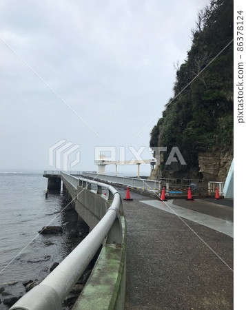 Katsuoura海洋公園 86378124