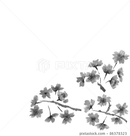 Monochrome illustration of cherry blossom branch and flower illustration in the lower right (ink hand-drawn illustration) 86378323