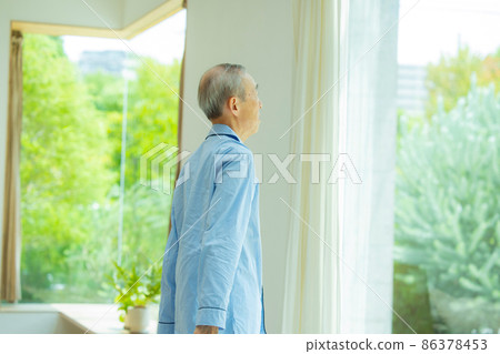 Morning senior windowsill Morning senior windowsill 86378453