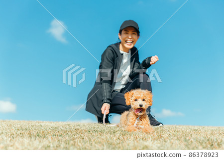 A woman walking a dog in sportswear (whole body) A woman walking a dog in sportswear (whole body) 86378923
