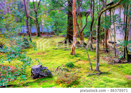 Garden of Rakuhoku Rengeji Temple in Kyoto 86378971