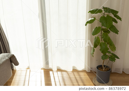 Living room and curtain 86378972