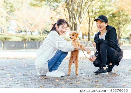 婦女在遛狗時打招呼 婦女在遛狗時打招呼 86379023