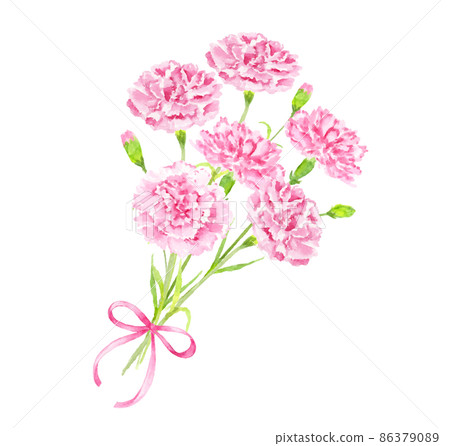 康乃馨花束絲帶水彩插圖 86379089