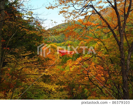 Autumn leaves and bridge Autumn leaves and bridge 86379103