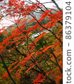 Scenery of red autumn leaves 86379104
