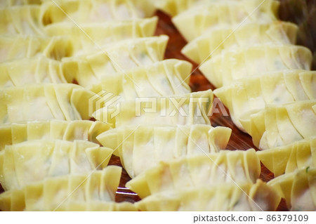 Many handmade dumplings lined up 86379109