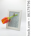 Wooden frame with attached tulip flower. 86379796