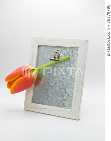 Wooden frame with attached tulip flower. 86379796