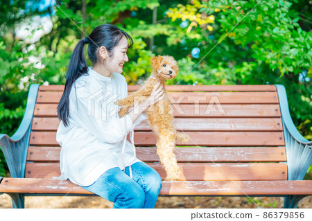 在公園里和狗玩耍的女性（說話） 86379856