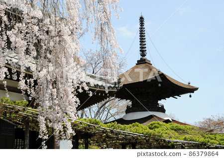 京都西京區春善峰寺多寶 86379864
