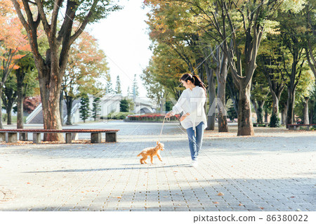 Female walking dog (whole body) 86380022