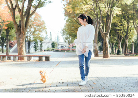 Female walking dog (whole body) 86380024