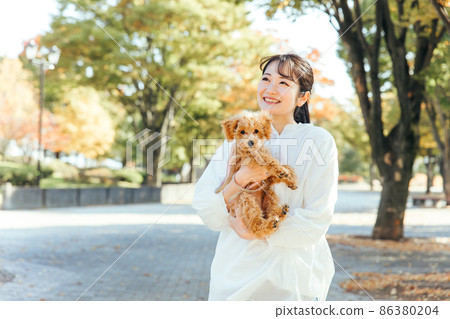 Female playing with a dog in the park 86380204