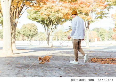 A man playing with a dog in the park (back view, whole body) 86380523