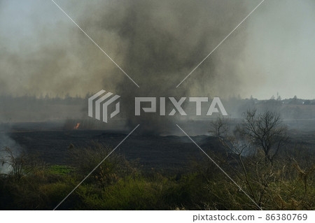 A tornado of wildfire that occurred at Watarase Retarding Ground A tornado of wildfire that occurred at Watarase Retarding Ground 86380769
