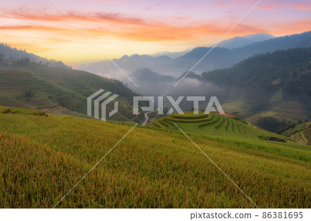 Green terraced rice fields in the rainy season, Vietnam. 86381695