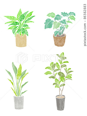 House Plant Set House Plant Set 86382883