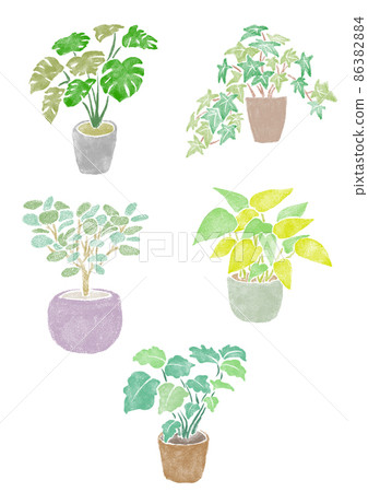 一組可愛盆栽中的觀賞植物 86382884