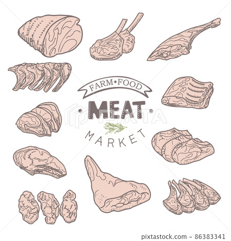 Collection of raw meat in vintage engraving style - Stock Illustration ...