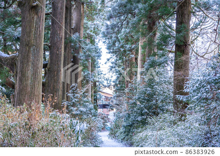 《Kanagawa Prefecture》 Hakone Old Highway Cedar Avenue of Nikko / Snowscape 《Kanagawa Prefecture》 Hakone Old Highway Cedar Avenue of Nikko / Snowscape 86383926