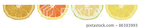 4種柑橘半_山水 86383993